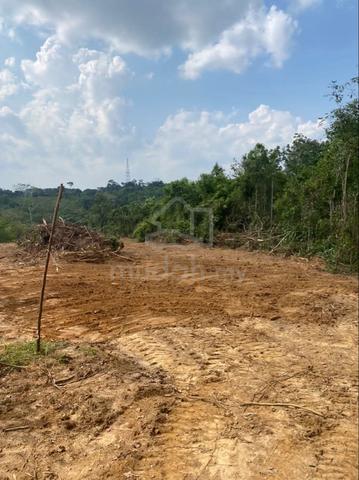 tanah pertanian untuk dijual di Jasin Melaka. 1
