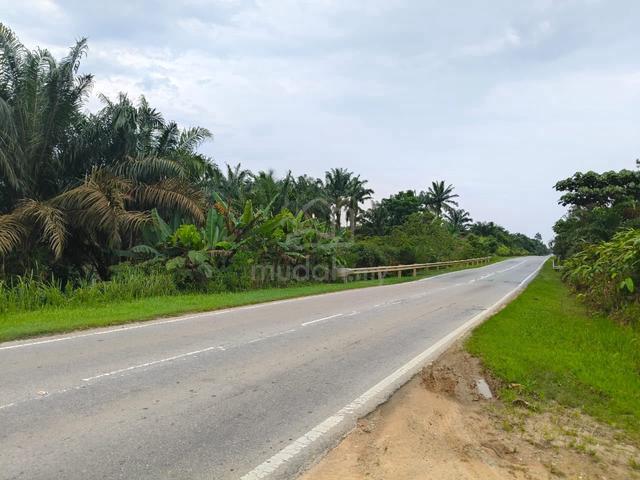 Sengkang Agriculture Land Kulai For Sale 1