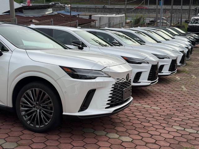 OFFER Lexus RX350 TRD Aero Kit Mark Levinson Offer - 3