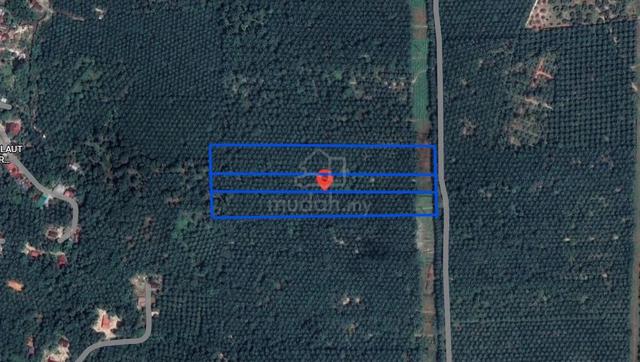 Sungai Kerang Oil Palm Land – Freehold | 3 Link Plots | Roadside 1
