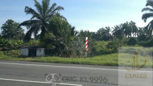 Banting Kuala Langat 60 Acres Land Facing Main Road Freehold Land 2