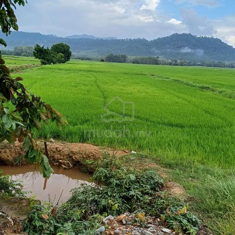 Tanah untuk dijual 1