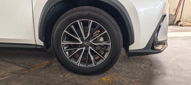 2023 Lexus NX 250 2.5 BASE GRADE (A) - 3