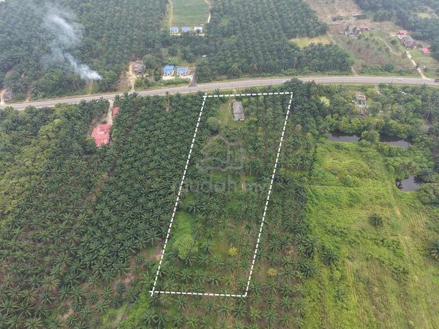6.74 Acre Agricultural Land Main Road Kuala Rompin-Tg Gemuk For Sale 1