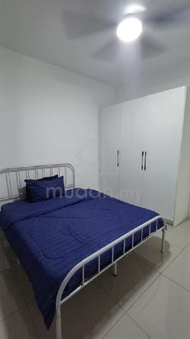 Room for Male only 1