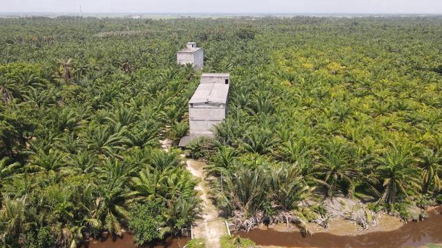 Selangor Land for Sale, Klang, Subang jaya, Puchong, Selangor. 5
