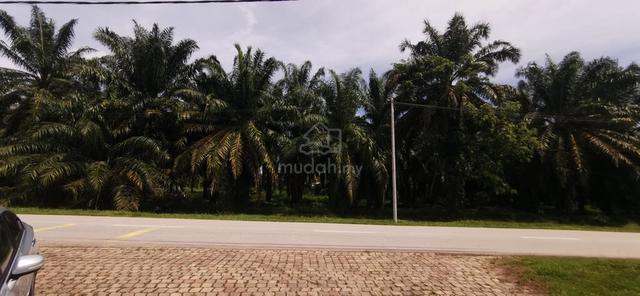 Banting main road 9000 sqft land 1