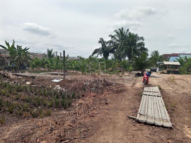 50x90 (4.500 kps) 1