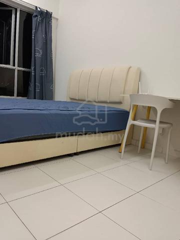 The Golden Triangle 1 Room 1