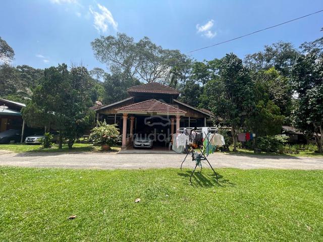 FREEHOLD, TANAH 1 EKAR TEPI SUNGAI [DGN CHALET] Janda Baik Kg Sum Sum 1