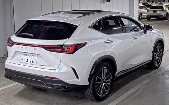 2022 Lexus NX 250 2.5 VL BLACK INTERIOR PANORAMIC - 4
