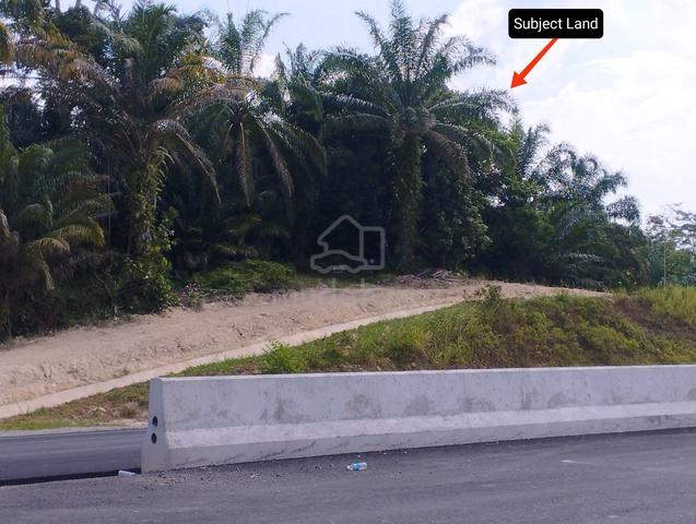 4.6 Acres Facing CSR Highway 1