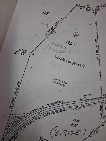 Grade A Semi-Hill Land @Cherok To'Kun Up For Grab ! 1