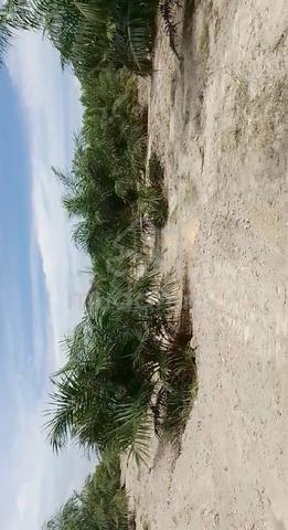 Lumut, Manjung, Land For Sales  1