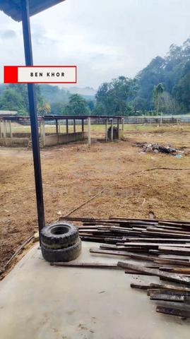 1.619 Acres | Agricultural Land | Karangan | KEDAH 1