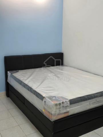 Bilik bilik Baru untuk Lelaki @ Palm Spring Damansara 1