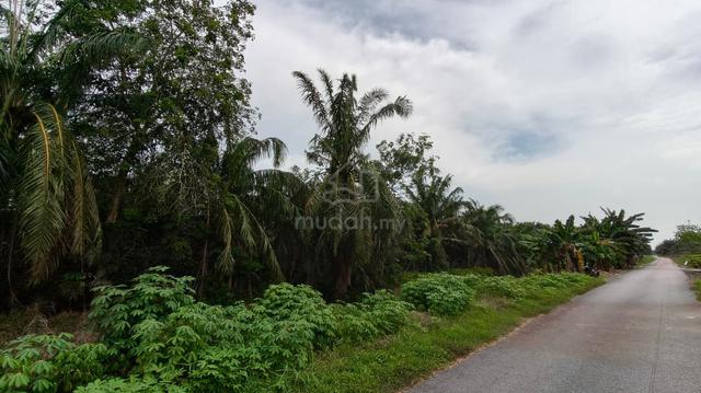 FREEHOLD INTERNATIONAL Lot Tanah Pontian 1