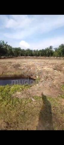 Banting Land for Sale 4