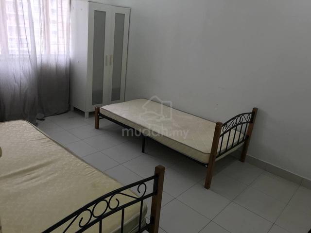 Bilik Sewa Sharing (Master Room) - Setia Alam (Wanita) 1