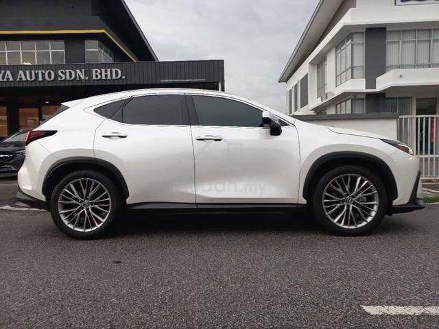 2023 2024 Lexus NX250 2.5 (A) LUXURY FSPT WRTY2029 - 2