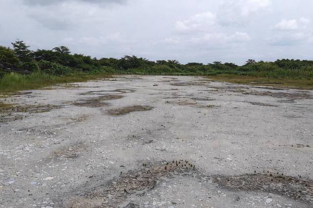 Telok Gong Port Klang Industrial Land for Sale 1