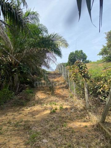 Tanah 6 Ekar Di Kuala Klawang-Jelebu Ada Laluan Anak Air 1