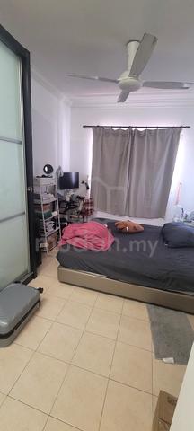 Looking for someone to share the whole unit 4