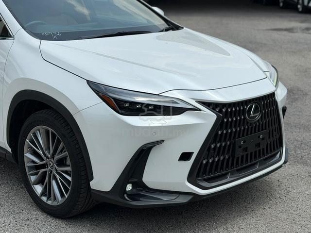2023 Lexus NX250 LUXURY 2.5 (A) - 5