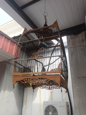 Carousel Image
