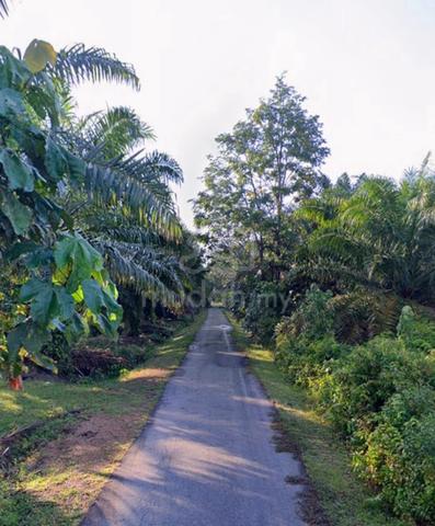 Mersing / Jalan Endau / Mukim Tenglu / 2 Ekar / Tanah Pertanian 1