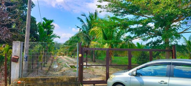 Tanah pertanian cantik Sg Petai, Alor Gajah, Melaka 1