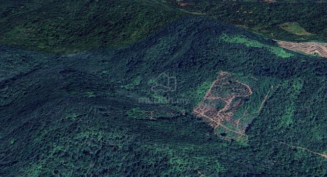 Tanah Kebun Getah Di Mukim Teloi Kanan, Baling, Kedah 1
