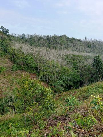 tanah pertanian 1