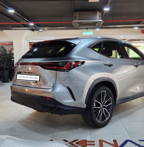 2023 Lexus NX250 Luxury - 5