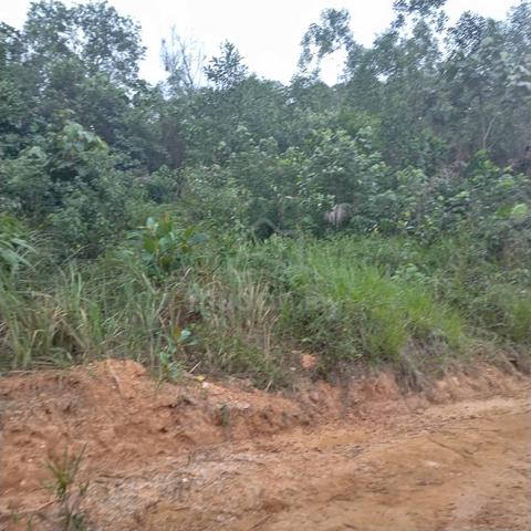 Taman Equine Seri Kembangan Bungalow Land 1