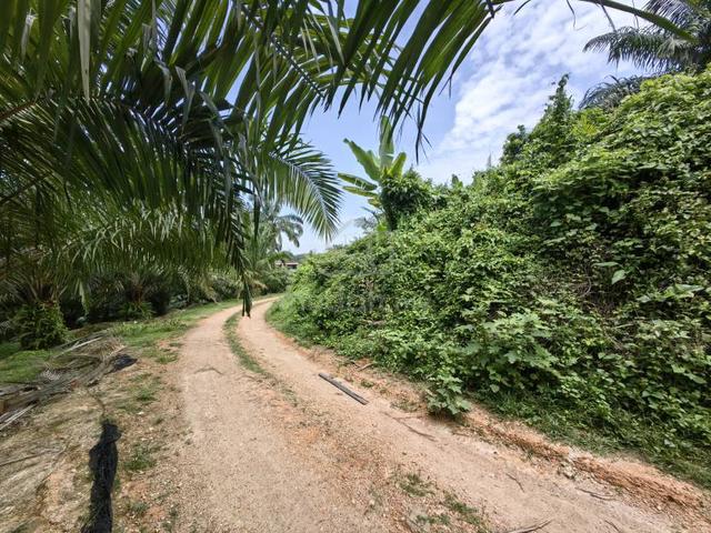5.5 Acres Freehold Hilly Agricultural Land Kuala Sawah Rantau Seremban 1