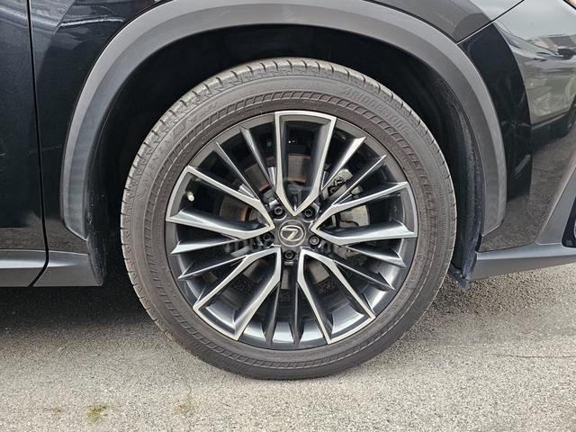 2023 Lexus NX250 2.5 LUXURY (A) Mark Levinson - 3