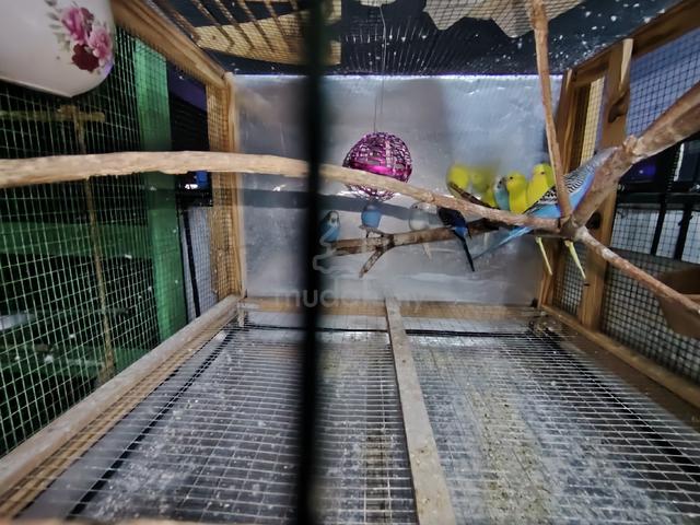 Carousel Image