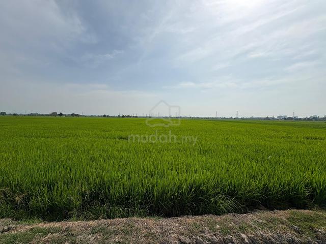 Freehold Padi Field 4.97 Ekar, Alor Setar Kedah 1