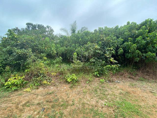 Tanah 4 Ekar Tepi Jalan Sebelum JPJ Jemaluang Mersing Utk Dijual 1