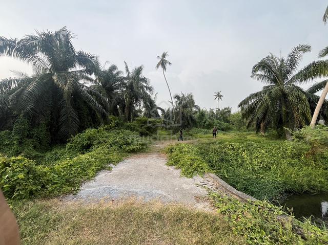 0.3acre kg.perepat 1