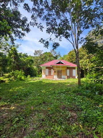 DUSUN BESERTA RUMAH Di NAPOH, JITRA, KEDAH 1