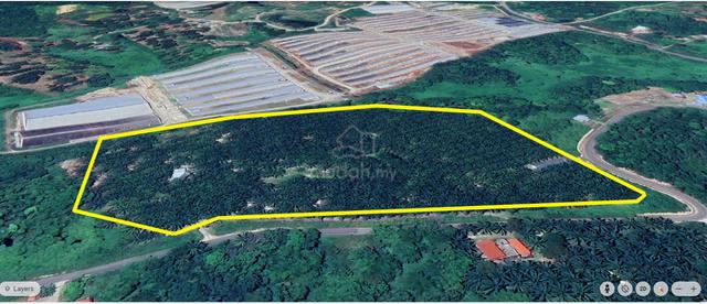 Prime 13-Acre Agricultural Land with Birdnest House in Papar, Sabah 1