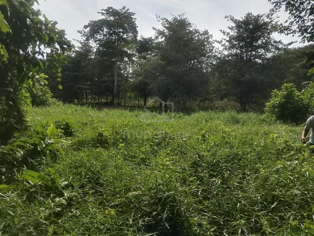 Tanah sedia untuk dijual 1