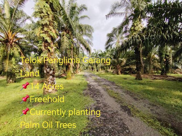 Telok Panglima Garang Land 📌14 Acres 📌Freehold 2