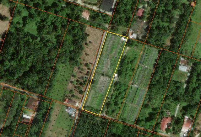 Prime Freehold Flat Land One+ Acre Simpang Ampat Penang Near Main Road 1