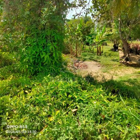 Bangalow lot for sale 1