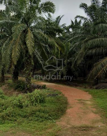 Jeram ,Freehold Agricultural land, Kuala Selangor 4