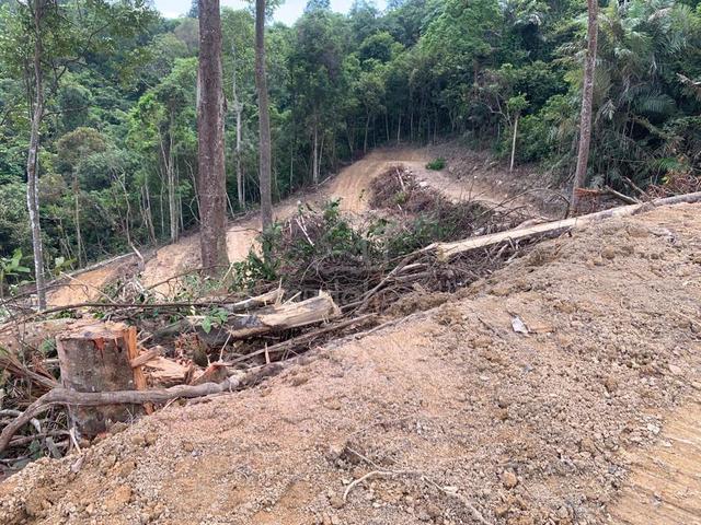 Broga Negeri Sembilan Tanah untuk Dijual 1