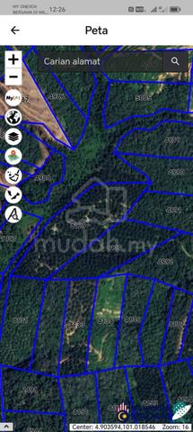 6.16 acres with 17years palm oil tree 1